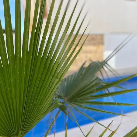 Villa Higuericas: Family Beach Retreat with Private Pool Torre de la Horadada Exterior photo