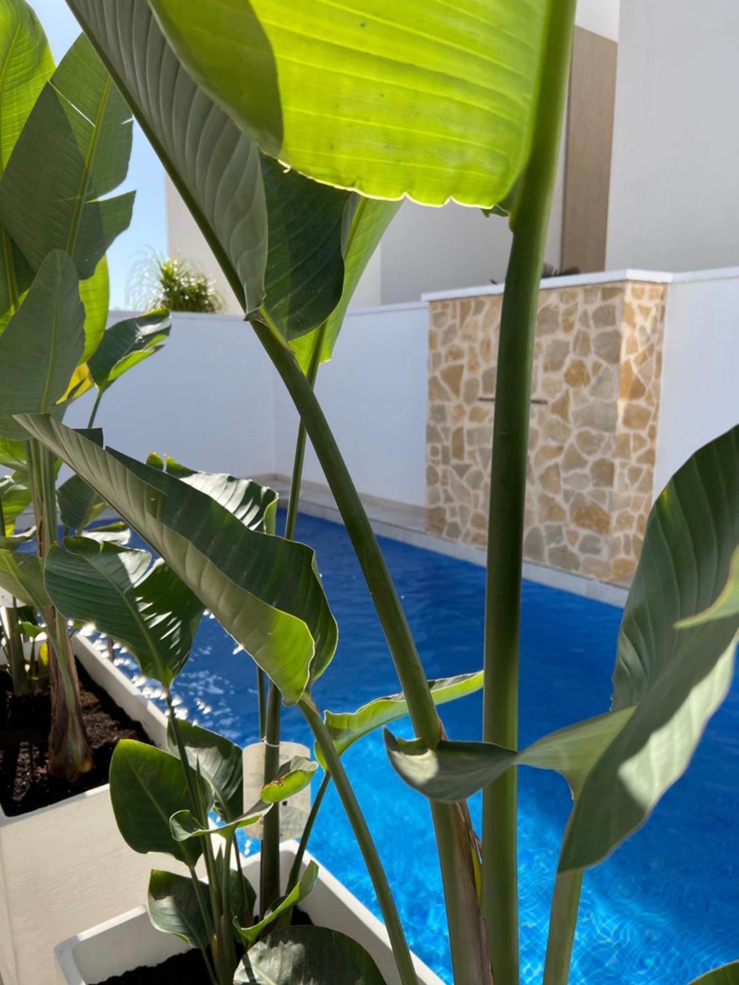 Villa Higuericas: Family Retreat With Private Pool *
